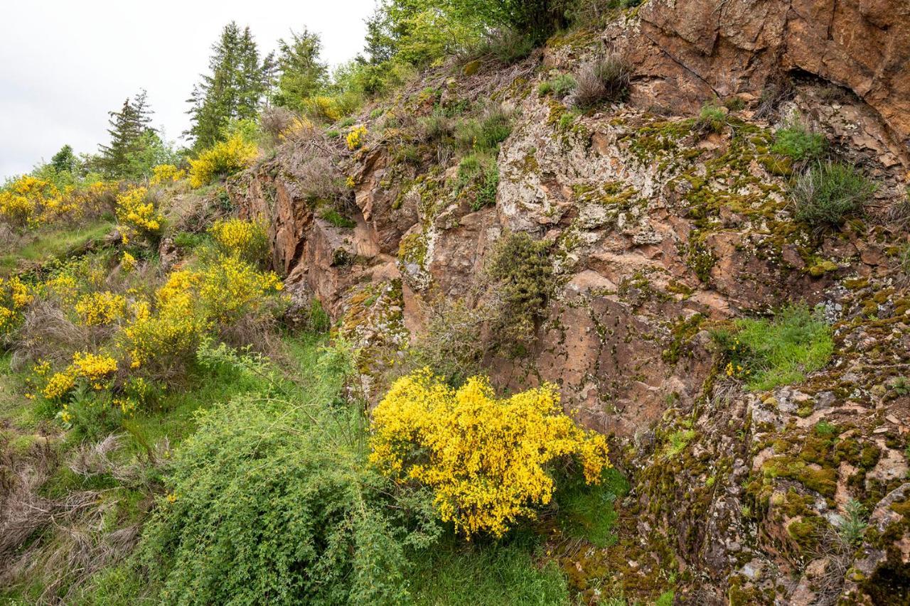 Moulin Des Comtes - Chambre Les Rochers Viverols Esterno foto